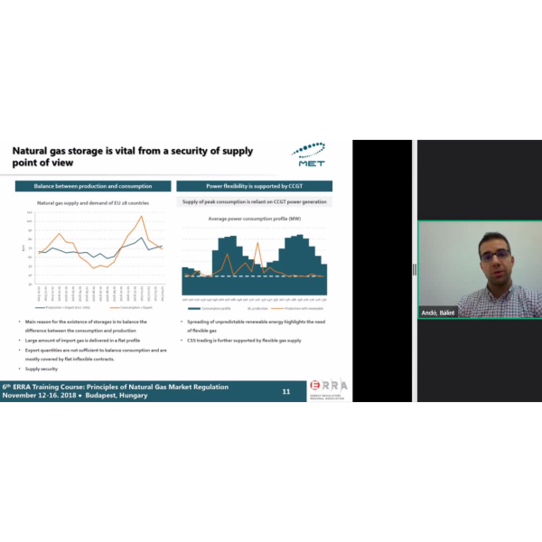Ando, Balint video presentation on Natural Gas Wholesale Trade