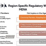 2nd Region-Specific Regulatory Workshop: MENA Region