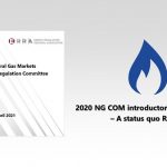 Status quo Report of the ERRA Natural Gas Committee