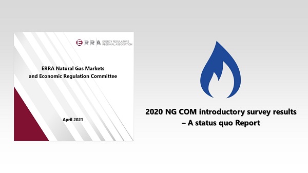 Status quo Report of the ERRA Natural Gas Committee