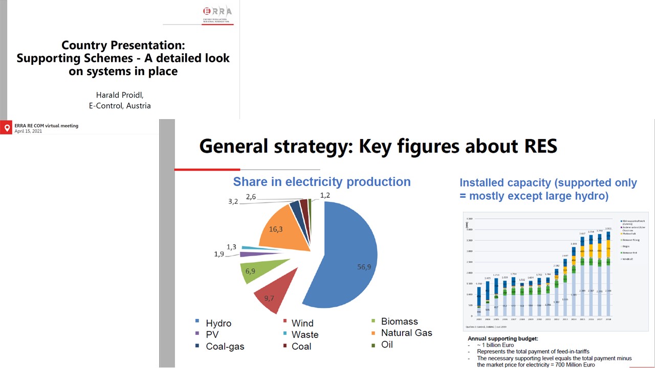 ERRA Renewable Energy Committee meeting