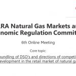 ERRA Natural Gas Markets and Economic Regulation Committee