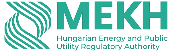 Energy Market Surveillance II: Regulators and Market Participants