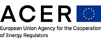 Energy Market Surveillance II: Regulators and Market Participants